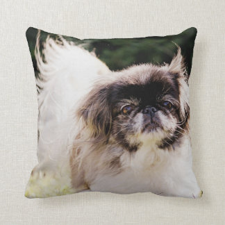 Pekingese kussen