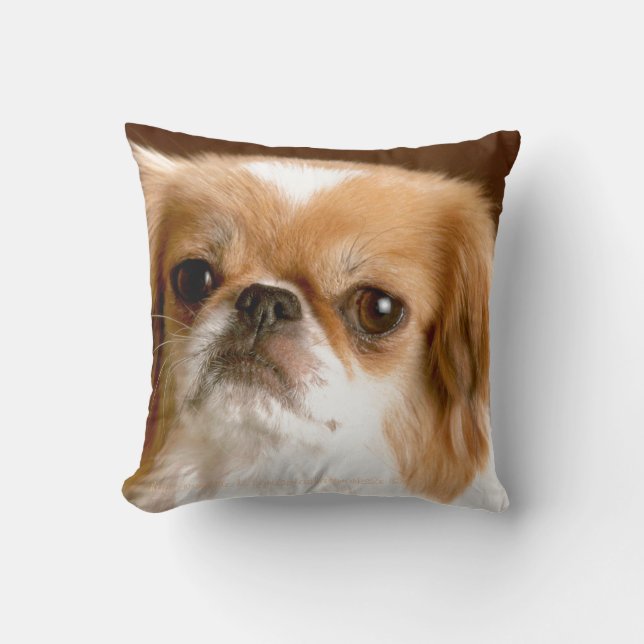 Pekingese Kussen (Voorkant)