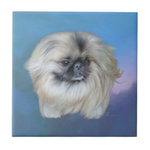 Pekingese lelie op blauw tegeltje