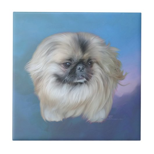 Pekingese lelie op blauw tegeltje (Voorkant)