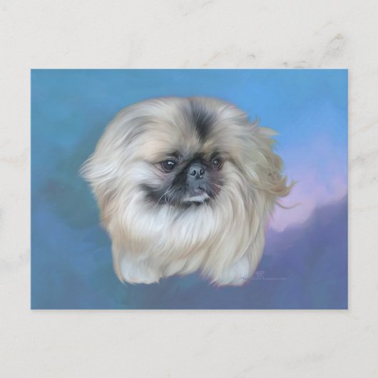 Pekingese lelie op blauwe achtergrond briefkaart (Voorkant)