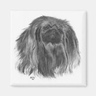 Pekingese magneet