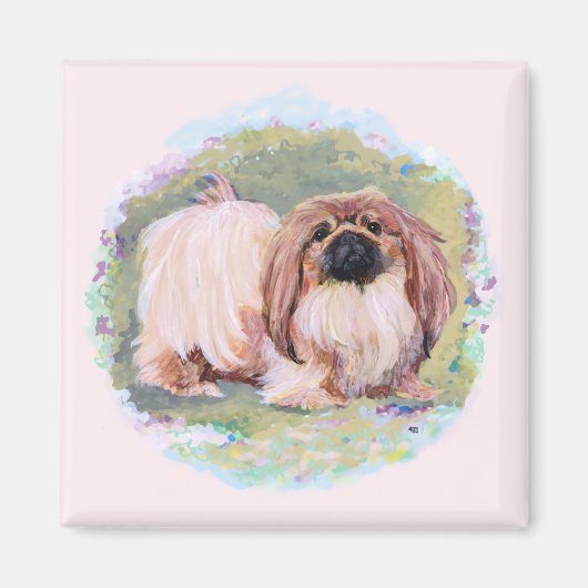 Pekingese magneet (Voorkant)