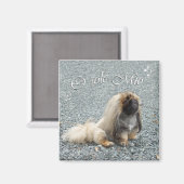 Pekingese magneet (Voorkant / Achterkant)