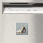 Pekingese magneet (Insitu (Vaatwasser))