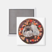 Pekingese magneet (Voorkant / Achterkant)