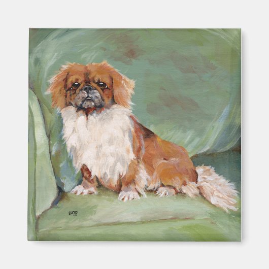 Pekingese magneet (Voorkant)