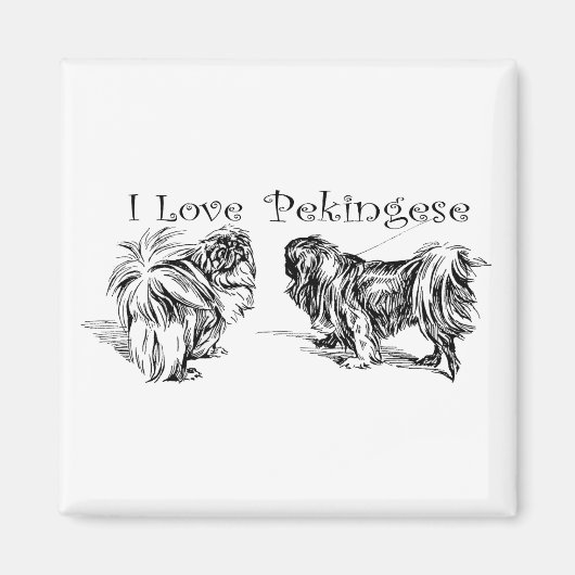 Pekingese magneet (Voorkant)