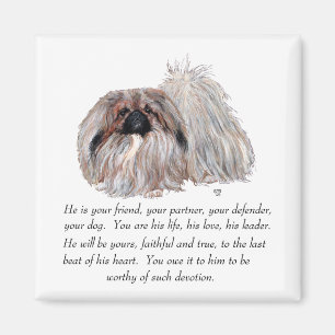 Pekingese magneet