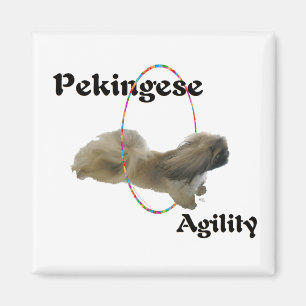 Pekingese magneet