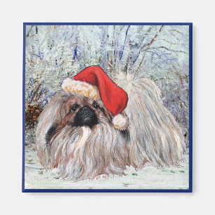 Pekingese magneet