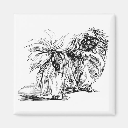 Pekingese Magneet (Voorkant)