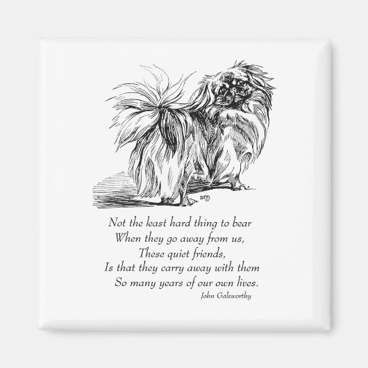 Pekingese Magnet (Voorkant)