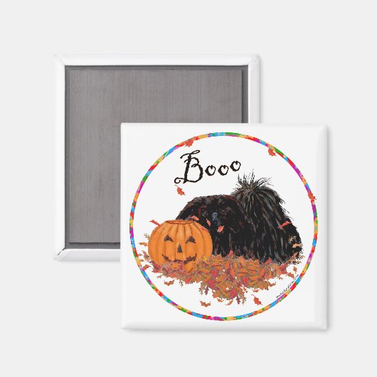 Pekingese Magnet (Voorkant / Achterkant)