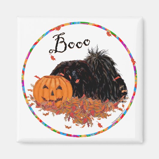 Pekingese Magnet (Voorkant)
