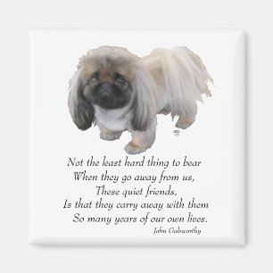 Pekingese Magnet