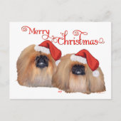 Pekingese Merry Kerstmis Feestdagenkaart (Voorkant)