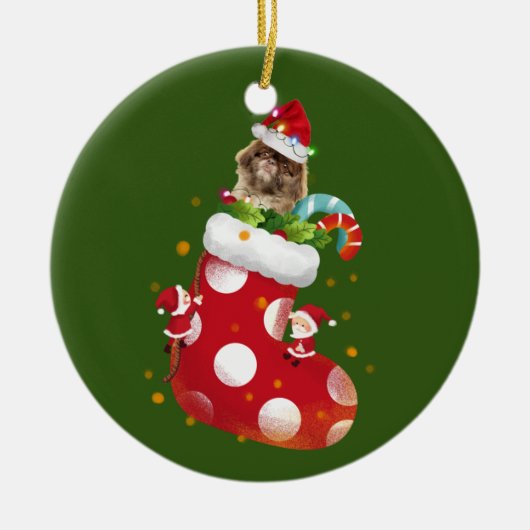 Pekingese met contactdoos keramisch ornament (Voorkant)