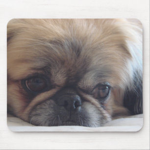 Pekingese Muismat