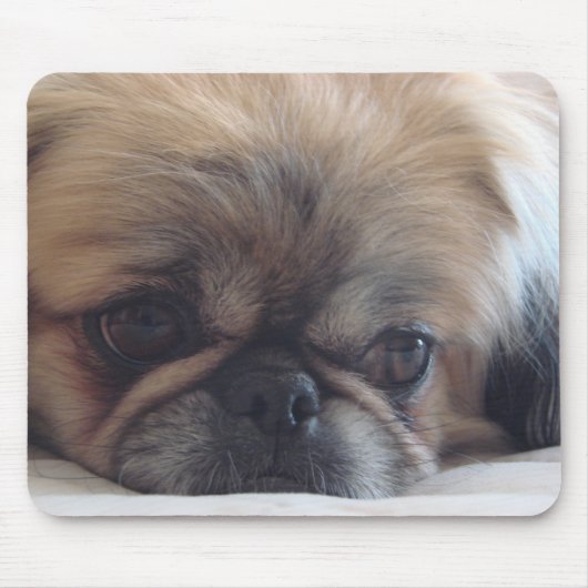Pekingese Muismat (Voorkant)
