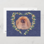 Pekingese Oranje bloesems Briefkaart (Voorkant / Achterkant)