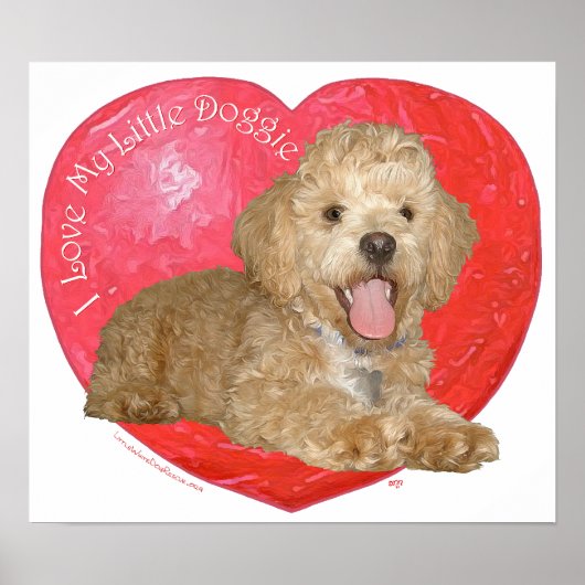 Pekingese / Poodle Mix Valentijnsdag Poster (Voorkant)