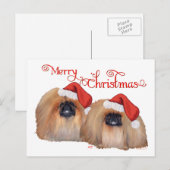 Pekingese Prettig kerstfeest Feestdagenkaart (Voorkant / Achterkant)