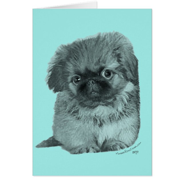 Pekingese Pup (Voorkant)