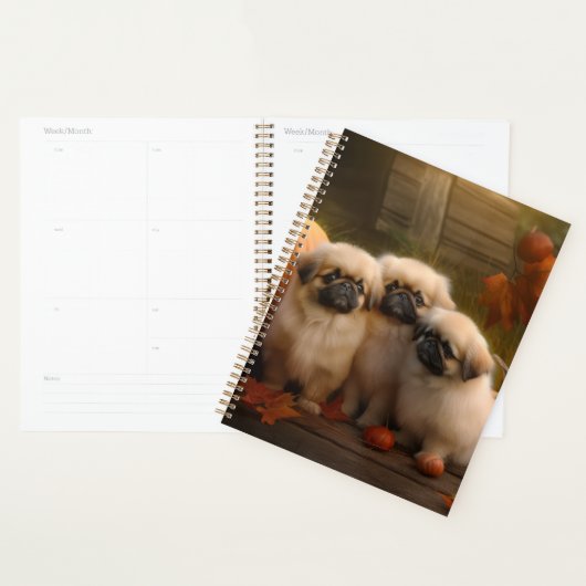 Pekingese Pup Autumn Delight Pompoen Planner (Display)
