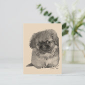 Pekingese Pup Briefkaart (Staand voorkant)