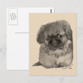 Pekingese Pup Briefkaart (Voorkant / Achterkant)
