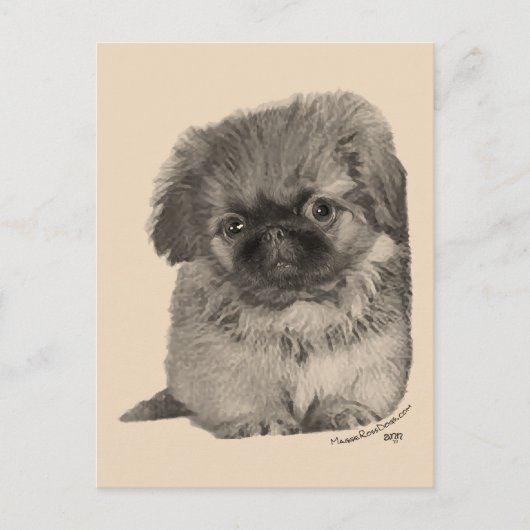 Pekingese Pup Briefkaart (Voorkant)