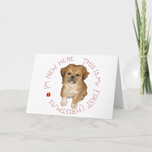 Pekingese Pup Eerste Kerstmis Feestdagen Kaart (Voorkant)