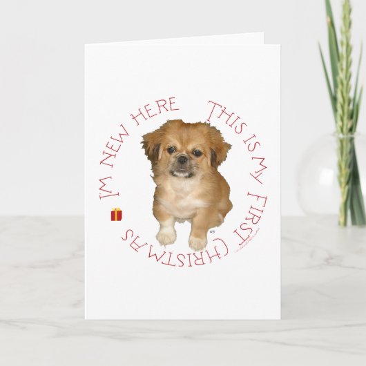 Pekingese Pup Eerste Kerstmis Feestdagen Kaart (Voorkant)