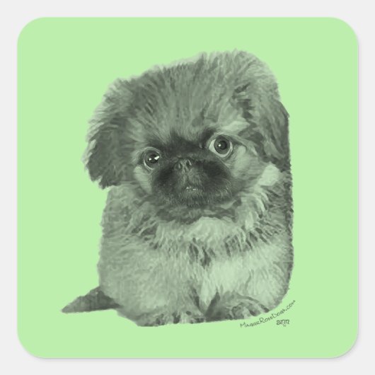 Pekingese Pup Groen Vierkante Sticker (Voorkant)