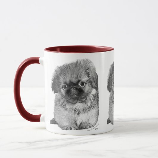 Pekingese Pup Mok (Links)