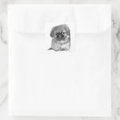 Pekingese Pup Vierkante Sticker (Tas)