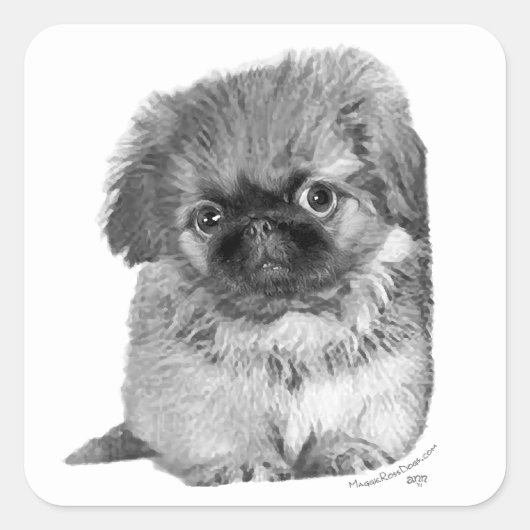 Pekingese Pup Vierkante Sticker (Voorkant)