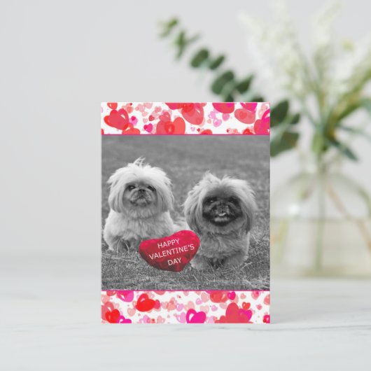 Pekingese Puppies wensen een fijne Valentijnsdag Feestdagenkaart (Staand voorkant)