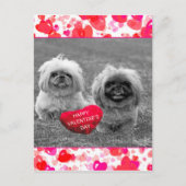Pekingese Puppies wensen een fijne Valentijnsdag Feestdagenkaart (Voorkant)