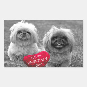 Pekingese Puppies wensen een fijne Valentijnsdag Rechthoekige Sticker