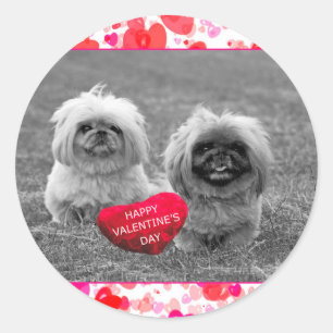 Pekingese Puppies wensen een fijne Valentijnsdag Ronde Sticker
