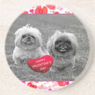 Pekingese Puppies wensen een fijne Valentijnsdag Zandsteen Onderzetter