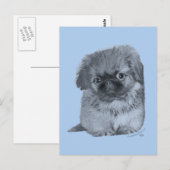 Pekingese Puppy Blauw Briefkaart (Voorkant / Achterkant)