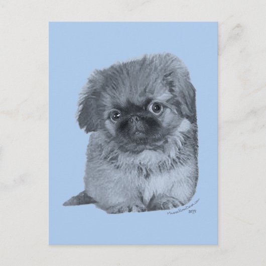 Pekingese Puppy Blauw Briefkaart (Voorkant)