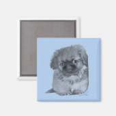 Pekingese Puppy Blauw Magneet (Voorkant / Achterkant)