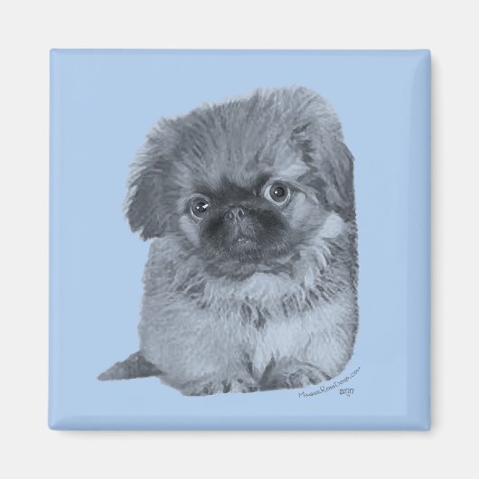 Pekingese Puppy Blauw Magneet (Voorkant)