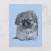 Pekingese Puppy Blue Briefkaart (Voorkant)