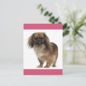 Pekingese Puppy Dog Post Kaart (Staand voorkant)