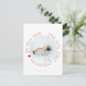 Pekingese Puppy Eerste Kerstmis Feestdagenkaart (Staand voorkant)